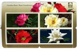 Block "Rosen". Kanada