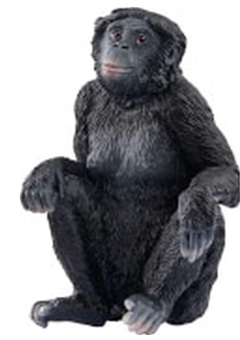 Schleich Giocattoli: Schleich 14875 Bonobo – Nuovo e nell'imballaggio originale da Wagenhausen venduto da Svema 1