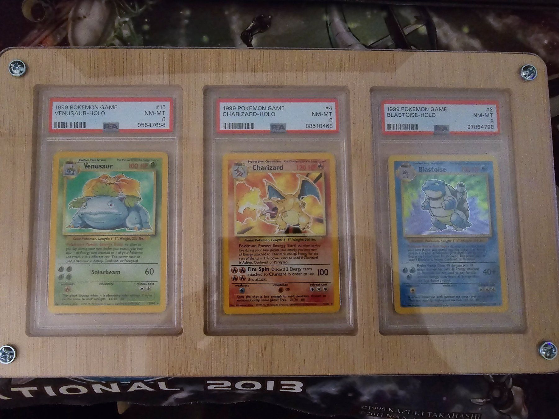 Allestimento di negozi e stand fieristici: Pokemon Psa Kartenhalter Bambus und Plexiglas – Usato da hombrechtikon venduto da eatos88