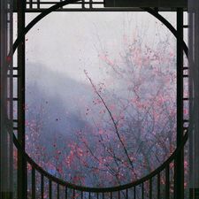 Profile image of cloudburst