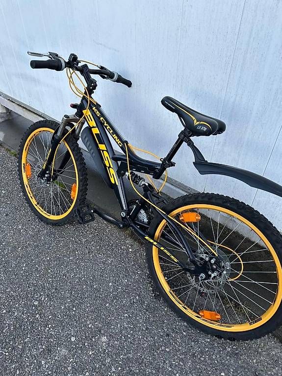 Velos: KS CYCLING BLISS 24 VTT – Gebraucht aus Genève von lua_8czq 3