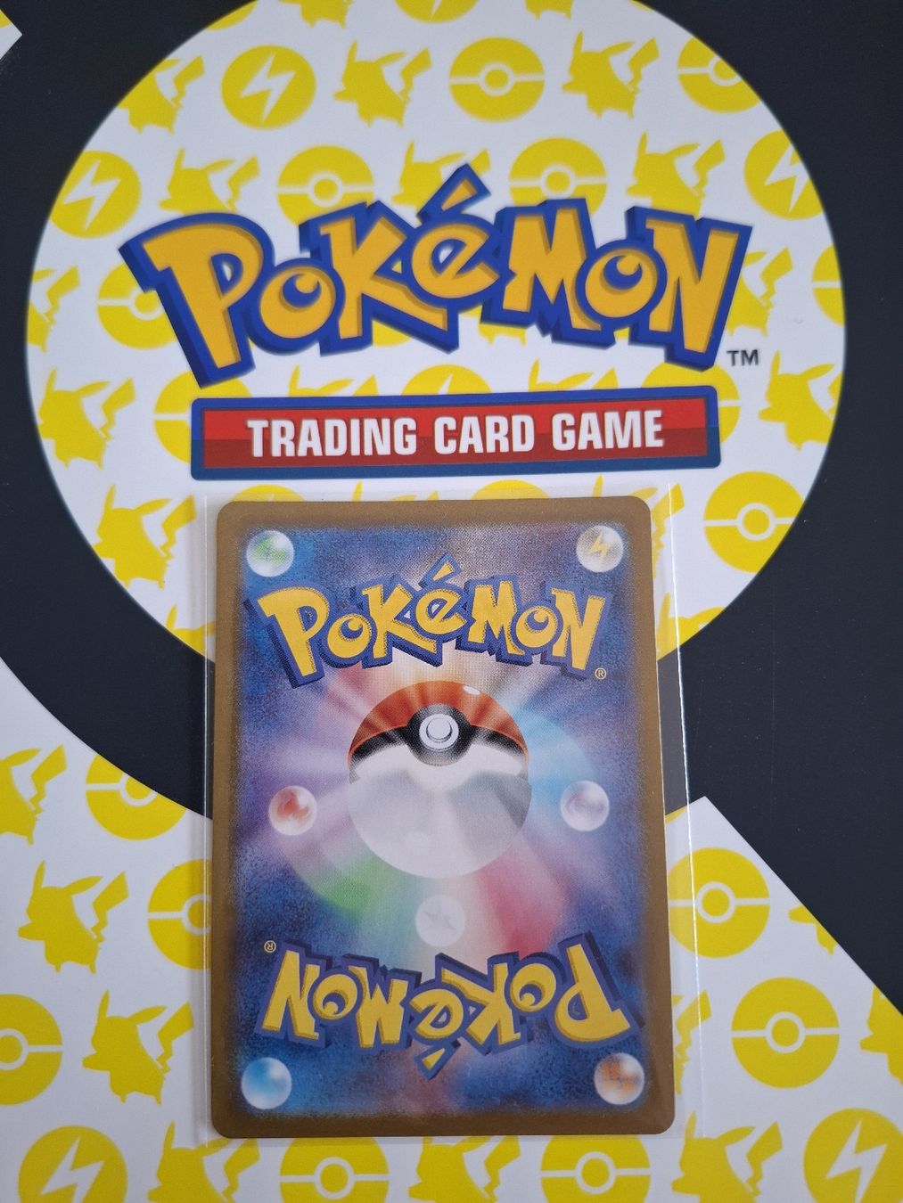 Pokémon Carte collezionabili: Mega Yanma EX - Top Zustand! – Nuovo (secondo la descrizione) da Effretikon venduto da PokeDeki 1