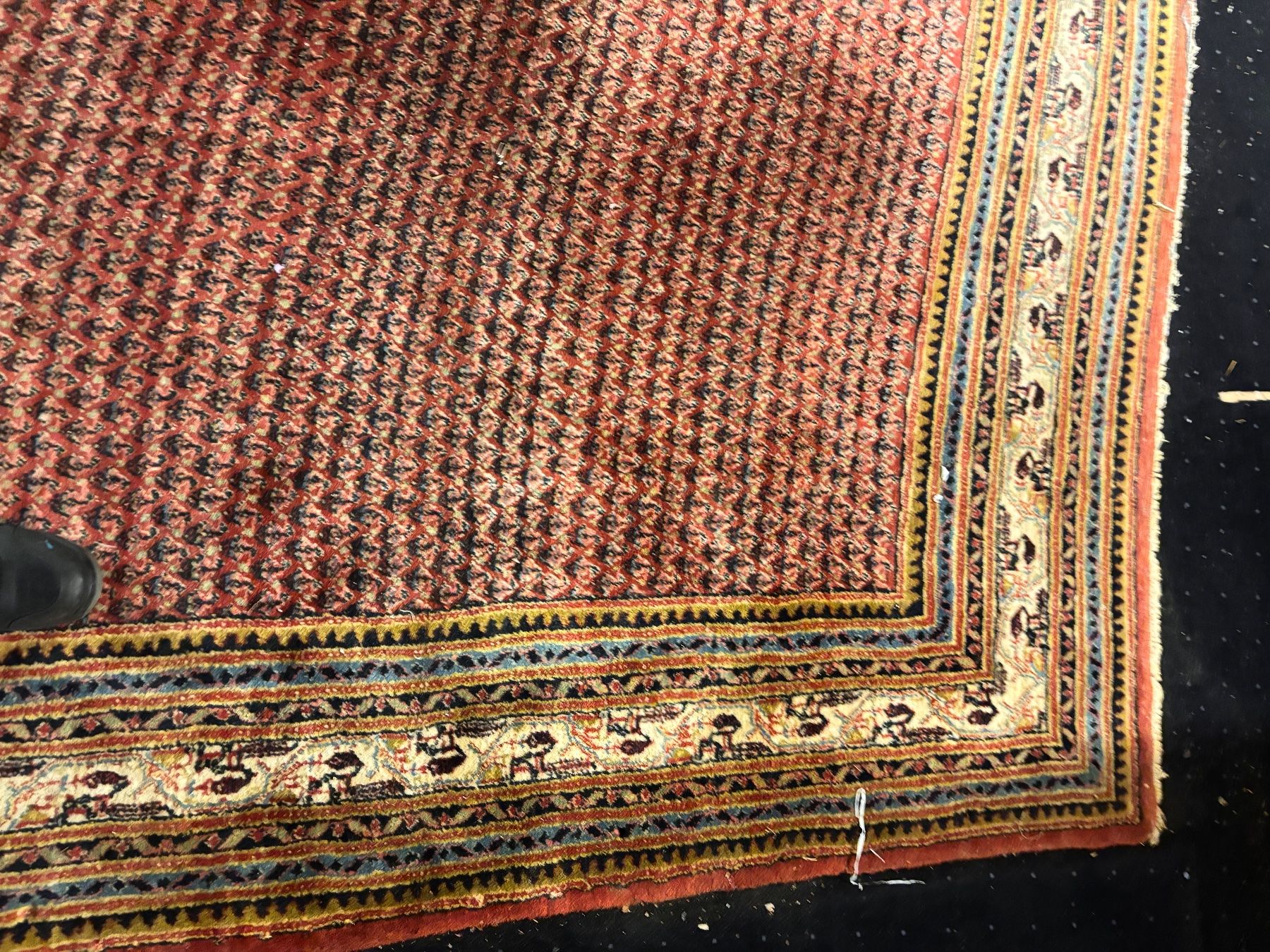 Tappeti: Teppich MIR 400x305cm – Usato da Hindelbank venduto da brm_72zv 4