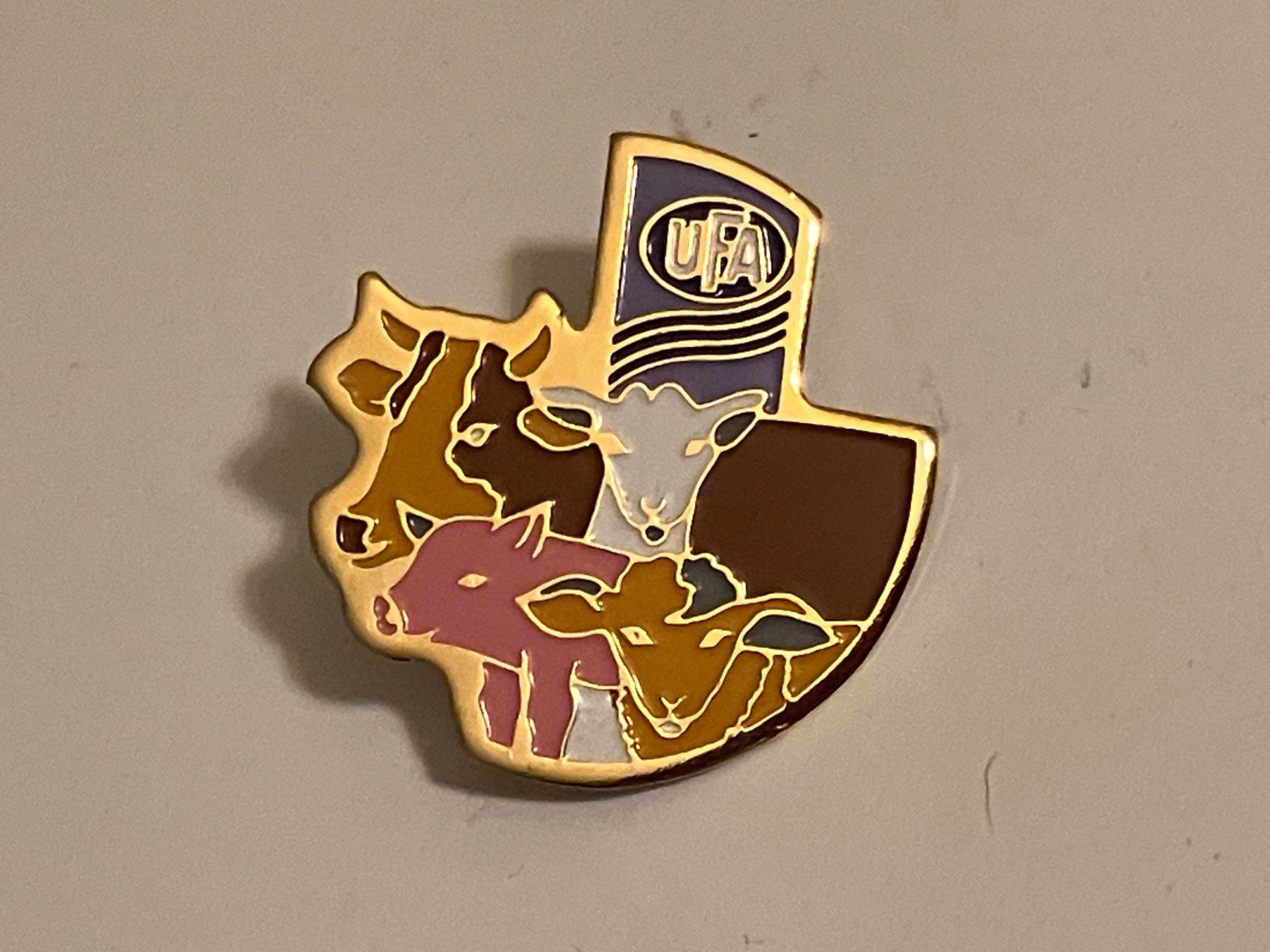 Placchette & Badge: 1 Pin Ufa – Usato da Basel venduto da djwwpp