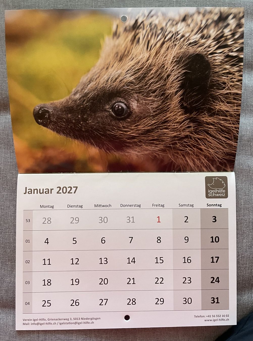 Calendari: Igelkalender 2027 - Igelhilfe Schweiz – Nuovo (secondo la descrizione) da Zollikofen venduto da england9 1
