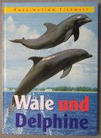 Wale und Delphine - Kindersachbuch - ab CHF 1.00