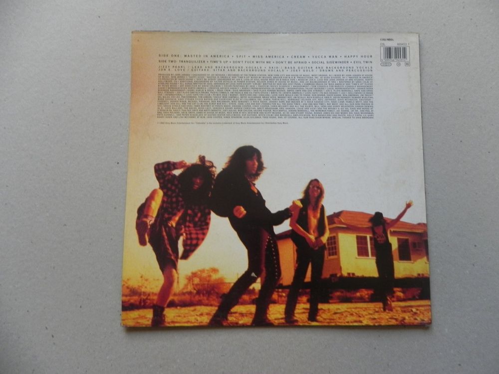 LP USA Hartrock Garage Rock Glam Band Love Hate 1992 Wasted Kaufen