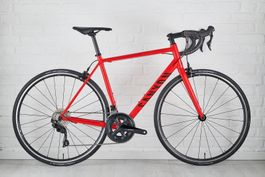 Canyon Endurace EDR AL 8.0 19 L rd/bk - wie neu (200km max)