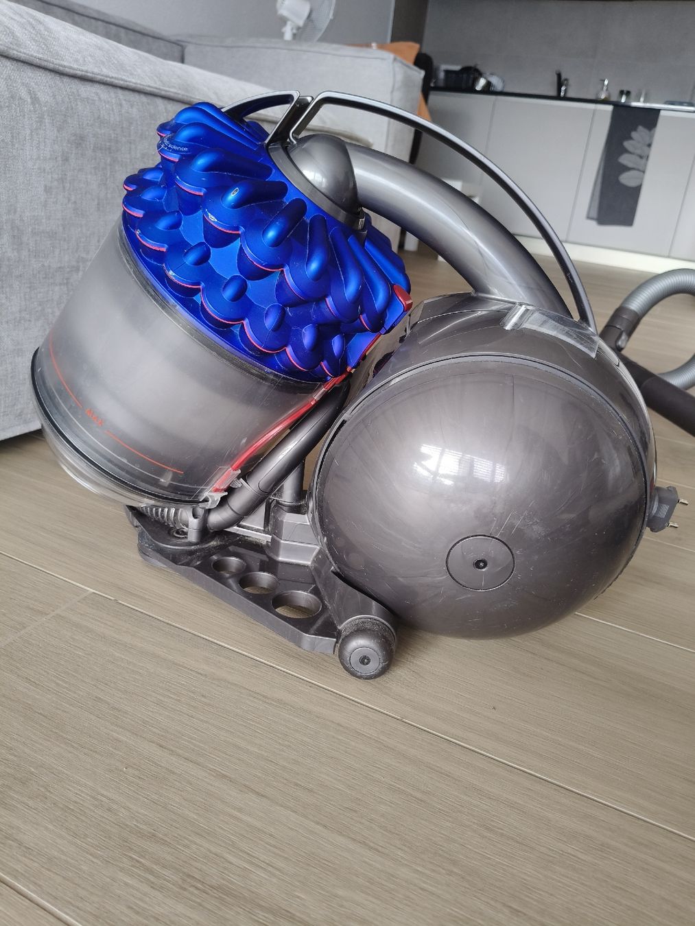 Dyson Aspirapolveri & Accessori: Dyson DC52 Multifloor Cinetic – Usato da Monthey venduto da lesaffairesdecamille 1