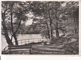 Schinznach 1951