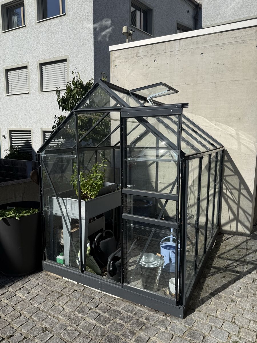 Casette da giardino & serre: Gewächshaus Glas – Usato da Thal venduto da Strigelgass 3
