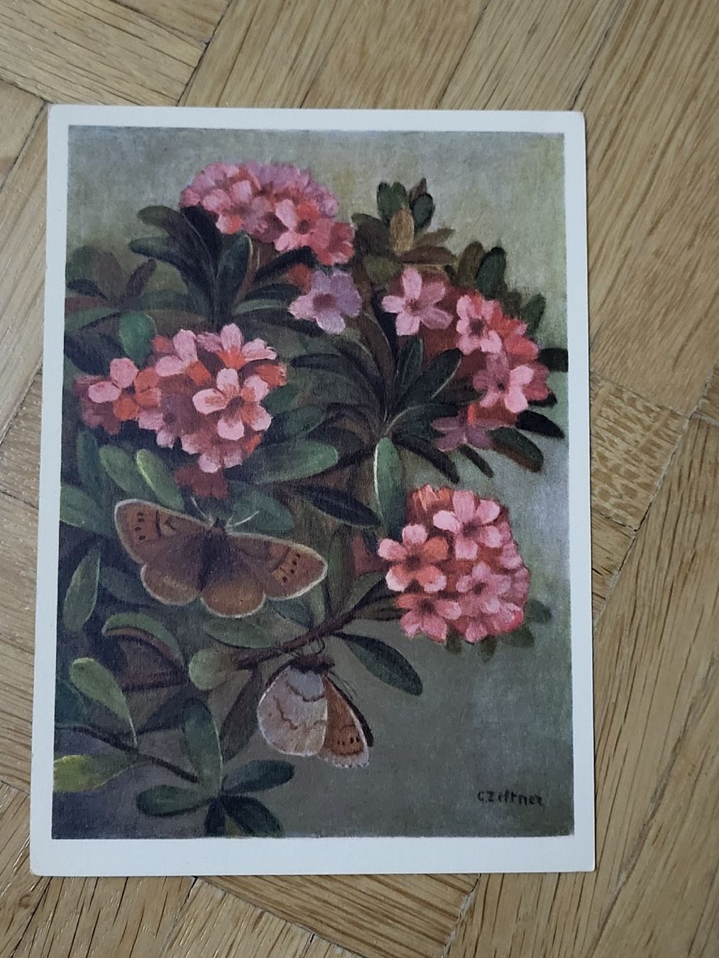 Cartoline postali: 1947, Blumige Postkarte nach Winterthur – Usato da stäfa venduto da brandy66 2