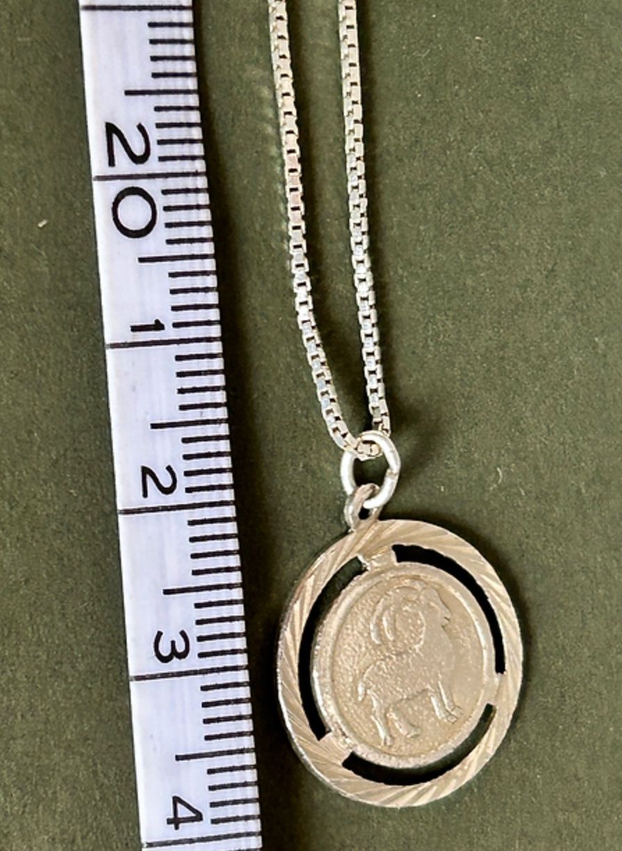 Catenine: Kette Steinbock Silber – Usato da Basel venduto da bellespirit 2