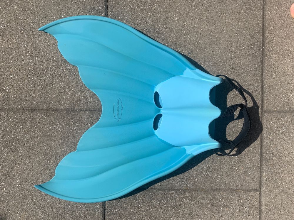 Monoflosse Kaufen auf Ricardo