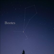 Profile image of Bootes