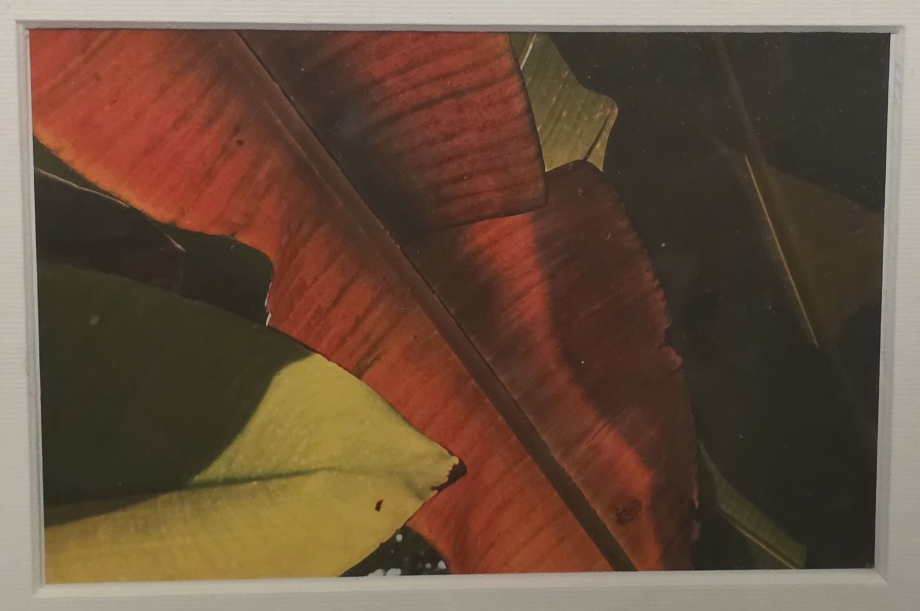 Foto & Immagini: 2x Triptyques faits par photographe pro – Nuovo (secondo la descrizione) da Attalens venduto da Rudebwoy 7
