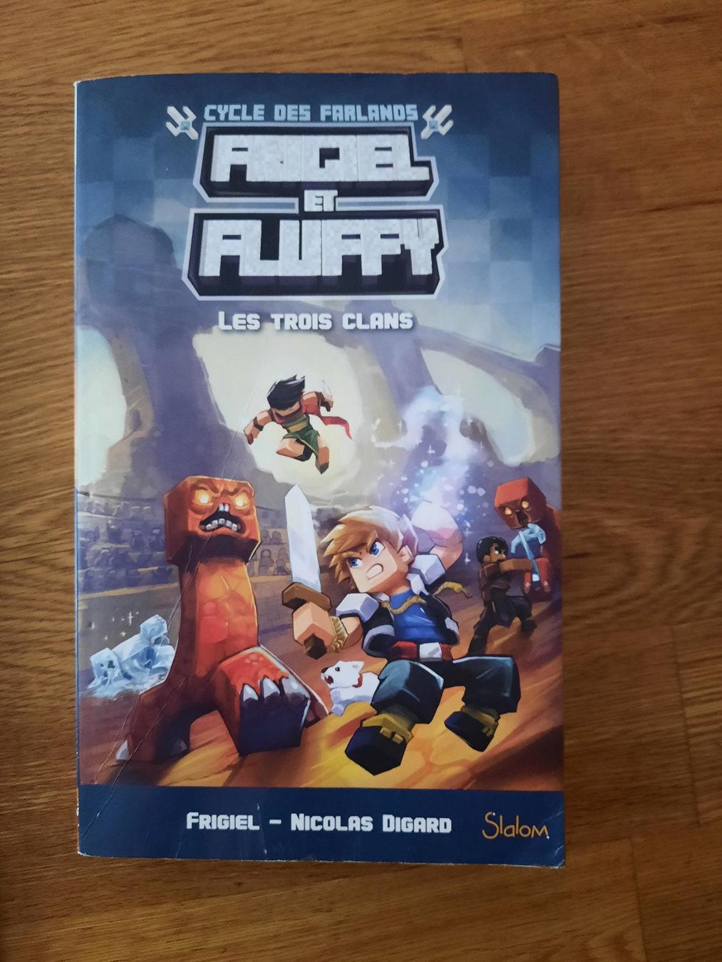Libri: livres junior minecraft (dès 9 ans) – Usato da Sierre venduto da babibouchette01 1