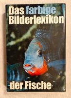Farbiges Bilderlexikon der Fische / Buch mit 500 Farbfotos