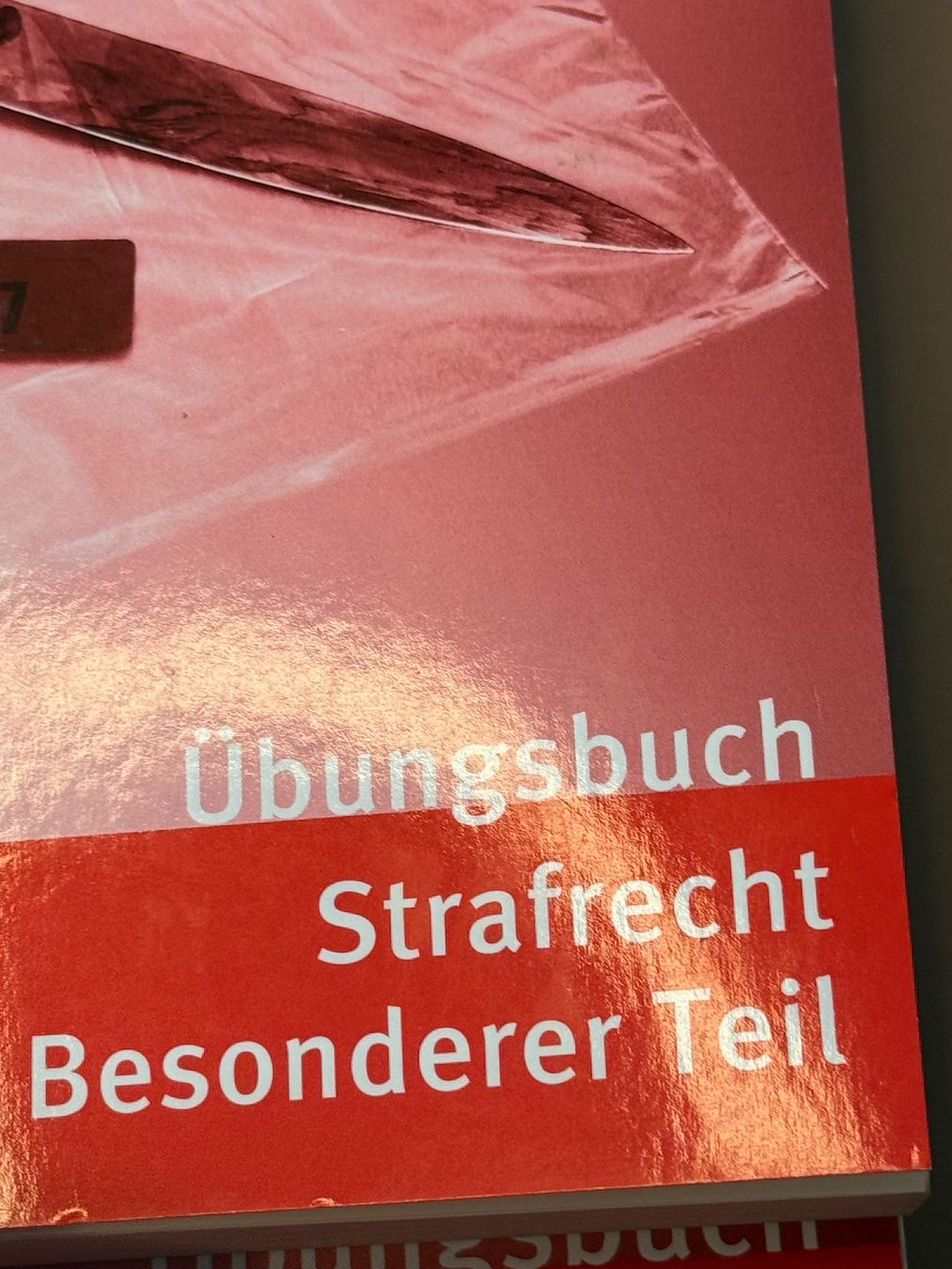 Libri: Strafrecht / Strafprozessrecht Lernset Anwaltsprüfung – Usato da Grenchen venduto da swiss.antiques 4