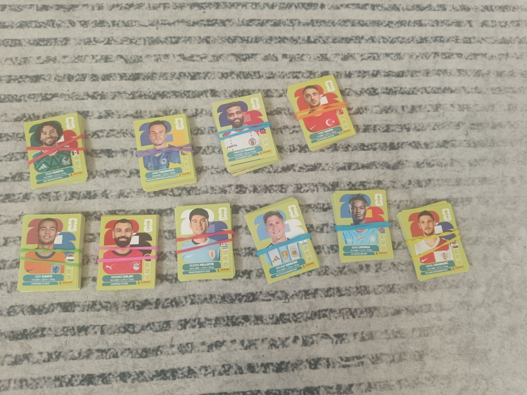 Panini Carte collezionabili: Verkauf 338 Panini WM 2026 Sticker. – Nuovo (secondo la descrizione) da Manno venduto da Farfallavanessa