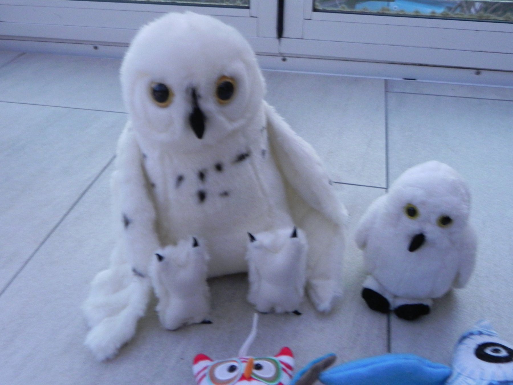 Spielzeuge: Eulen Set Stofftiere Kuscheltiere 5 Stk – Gebraucht aus Stallikon von pcerny16 1