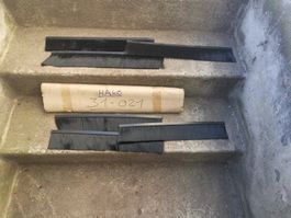 HAKO-Kehrmaschine Hako Flipper Kehrleisten