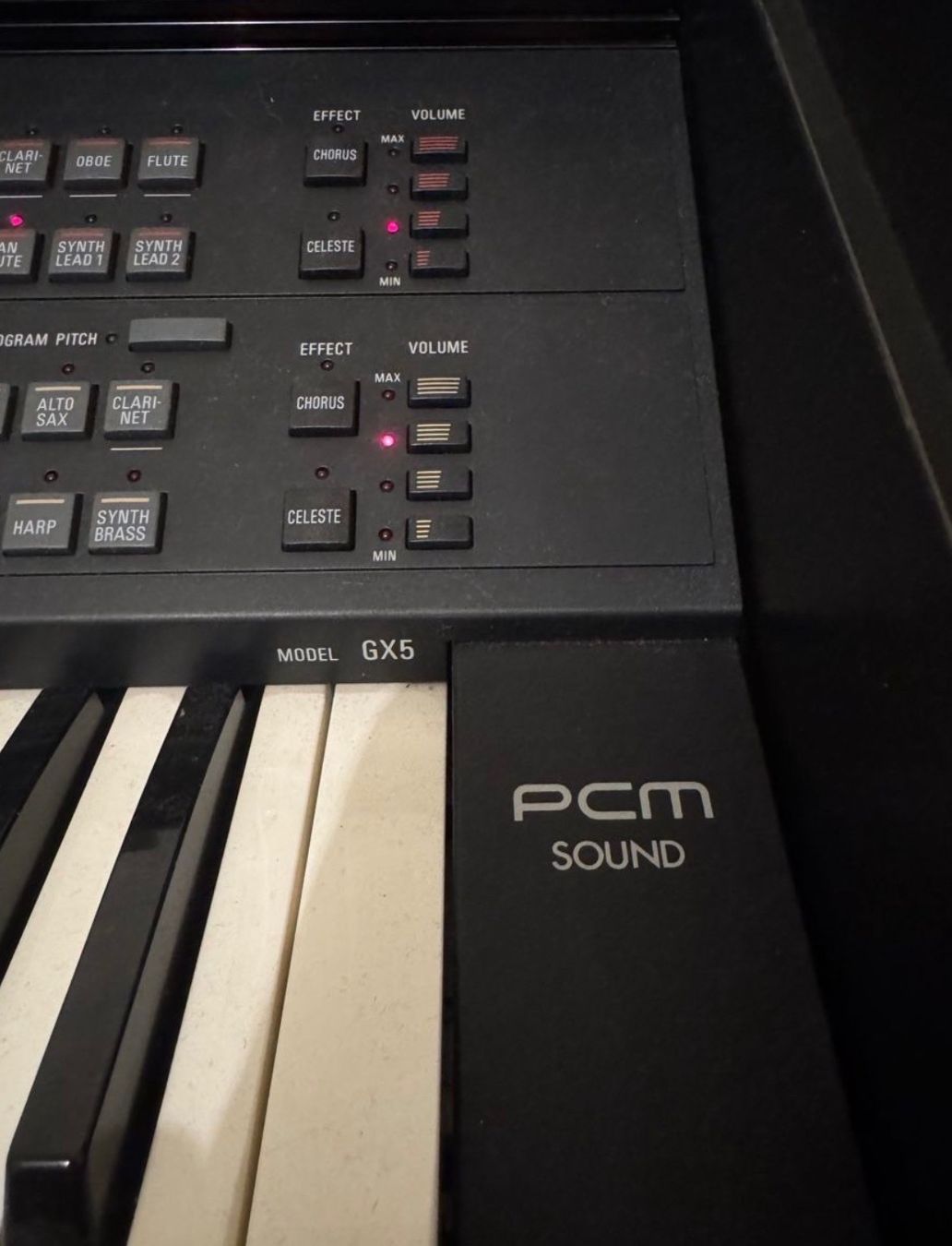 Technics Strumenti musicali: Technics SX GX-5 Orgel – Usato da Ottikon b.Kemptth. venduto da alde76 6
