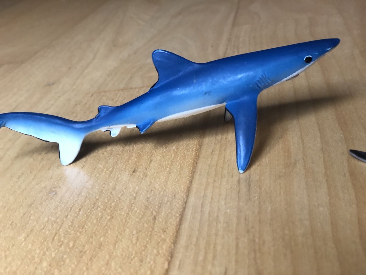 Schleich Giocattoli: Schleich requin – Usato da La Tour-de-Peilz venduto da zazen33 1