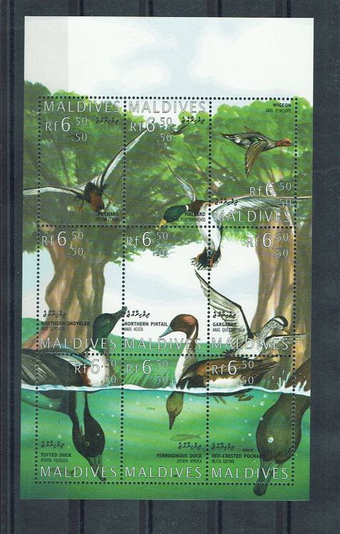 Maldives 1995 - Oiseaux 1