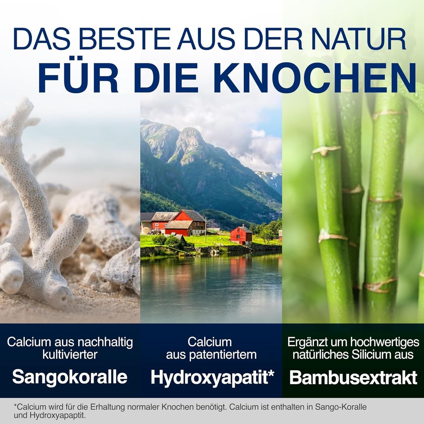 Lebensmittel & Spezialitäten: Calcium Sticks Osteo Complex Vitamin D3 K2 – Neu und originalverpackt aus Suhr von SchnapperCH 1