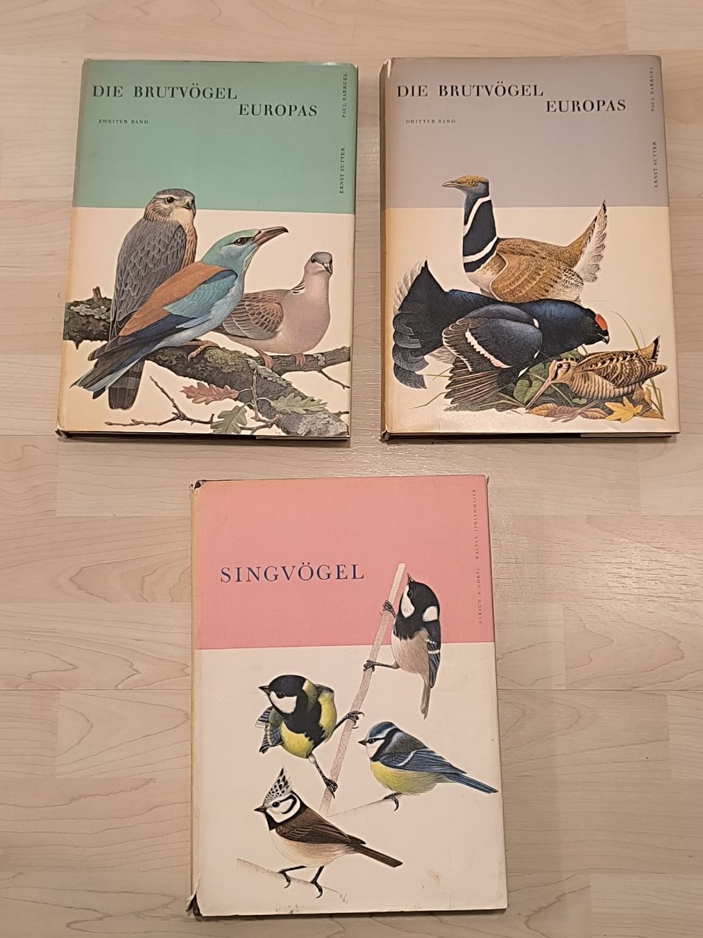 Libri: Verschiedene Vögel Bücher – Usato da Rorschach venduto da lau_yb89