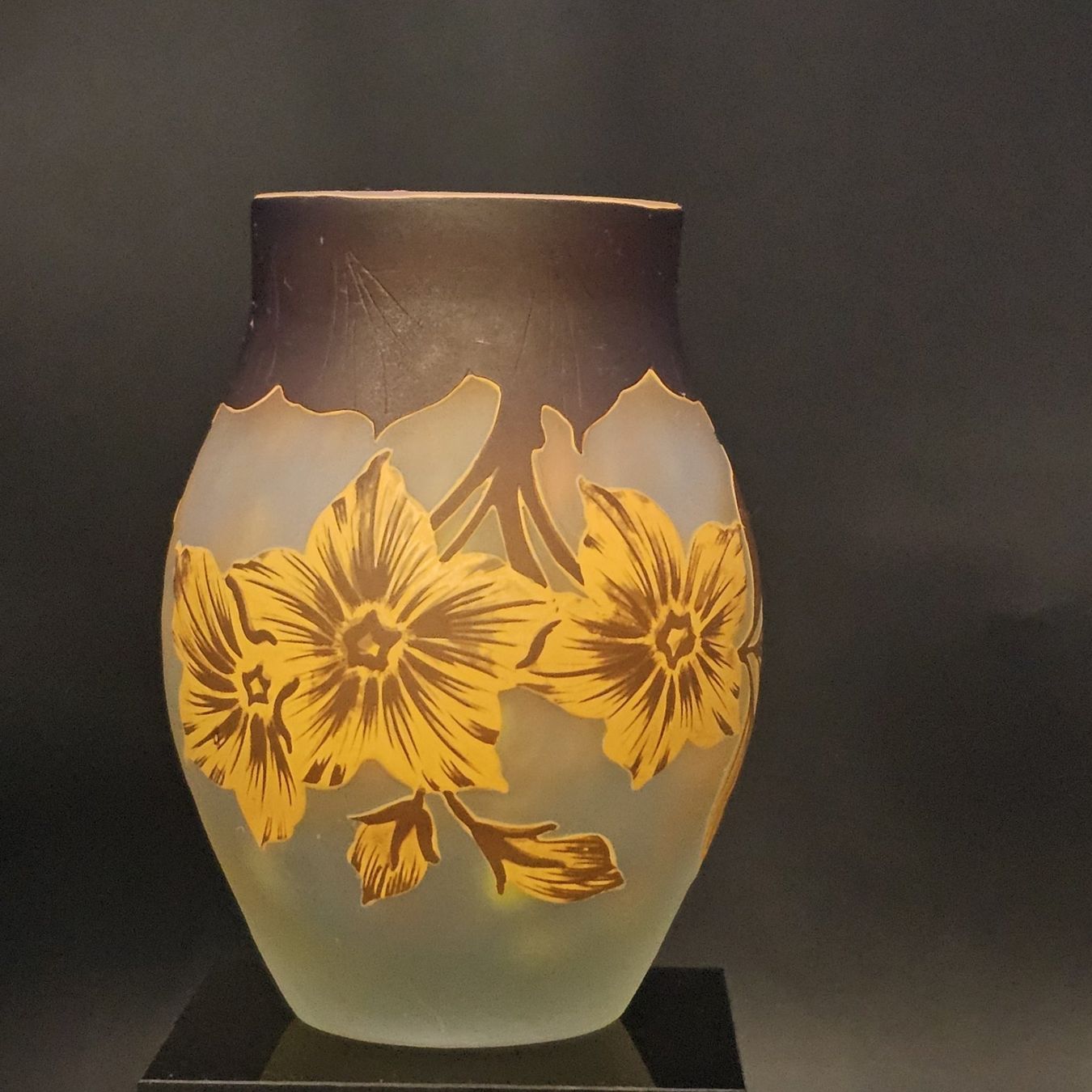 Daum Vasen & Gefässe: Daum Nancy Flowers Acid Etched Cameo – Gebraucht aus Bruettisellen von Collector_Store 8