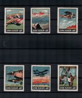 Flugspende 1917, Schweizerische Fliegerabteilung Satz