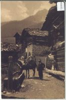 Grimentz - Dorfpartie - Maultier
