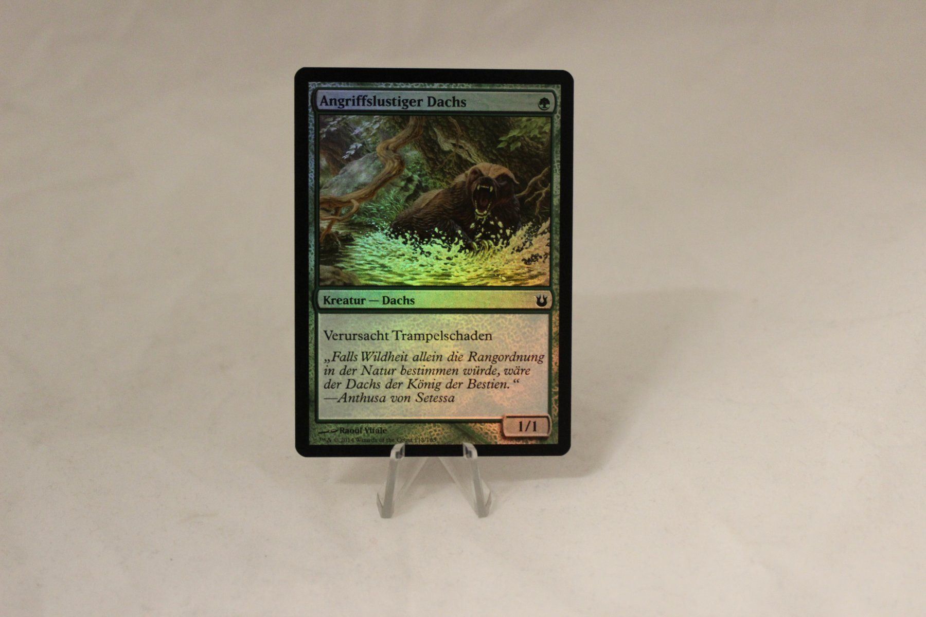 Magic The Gathering Carte collezionabili: Angriffslustiger Dachs Foil - Magic – Usato da Dulliken venduto da Sefty