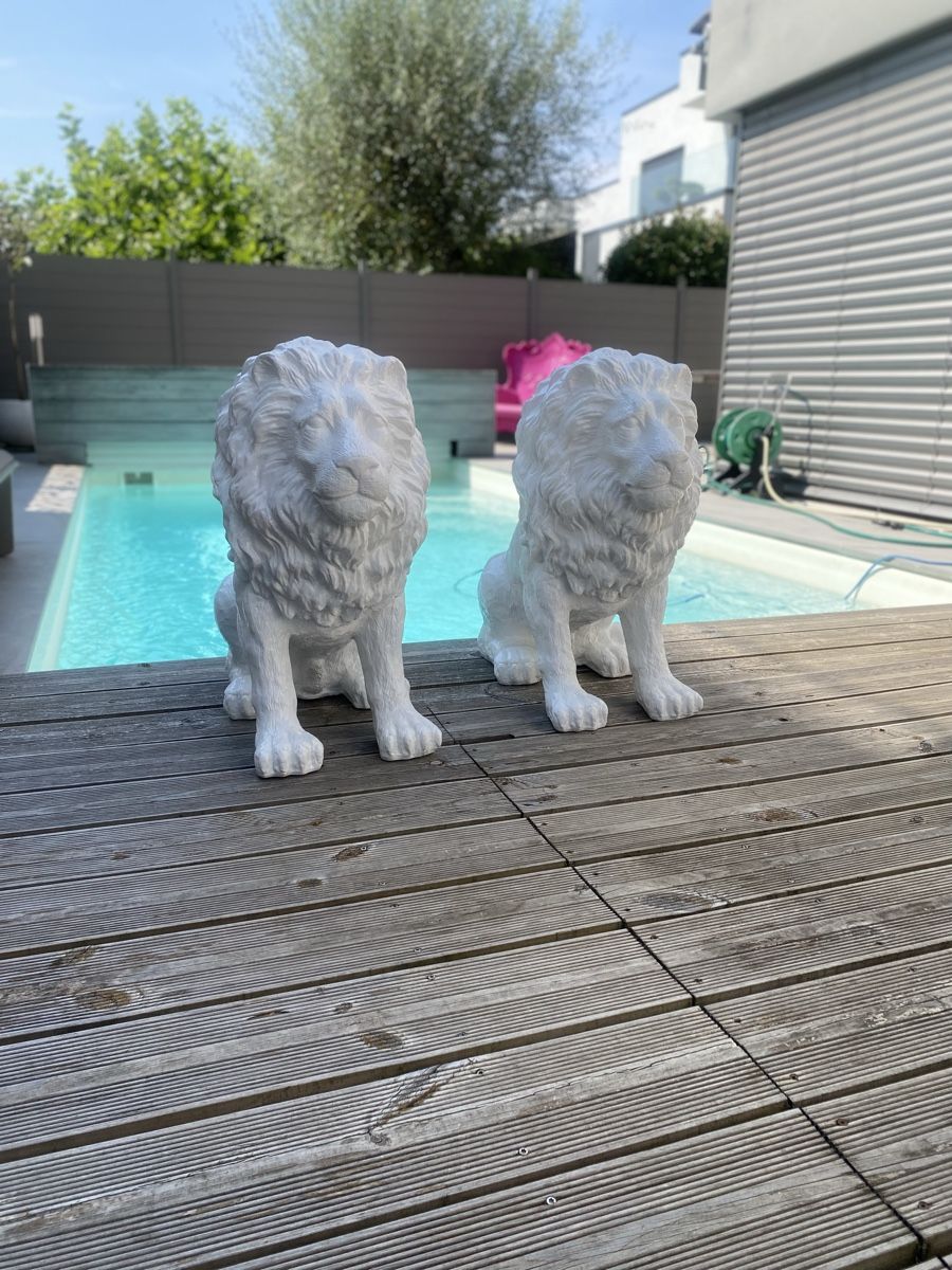 Skulpturen & Statuen: 1 Skulptur Löwe Neu – Neu (gemäss Beschreibung) aus Ettingen von inf_vhc7