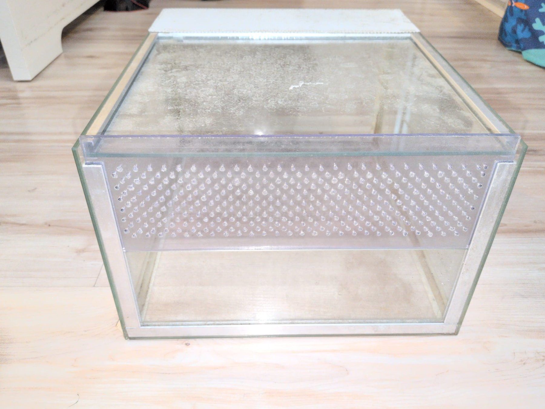 Terrario: Terrarium – Usato da Adliswil venduto da lul_5h6f