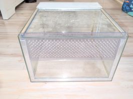 Terrarium