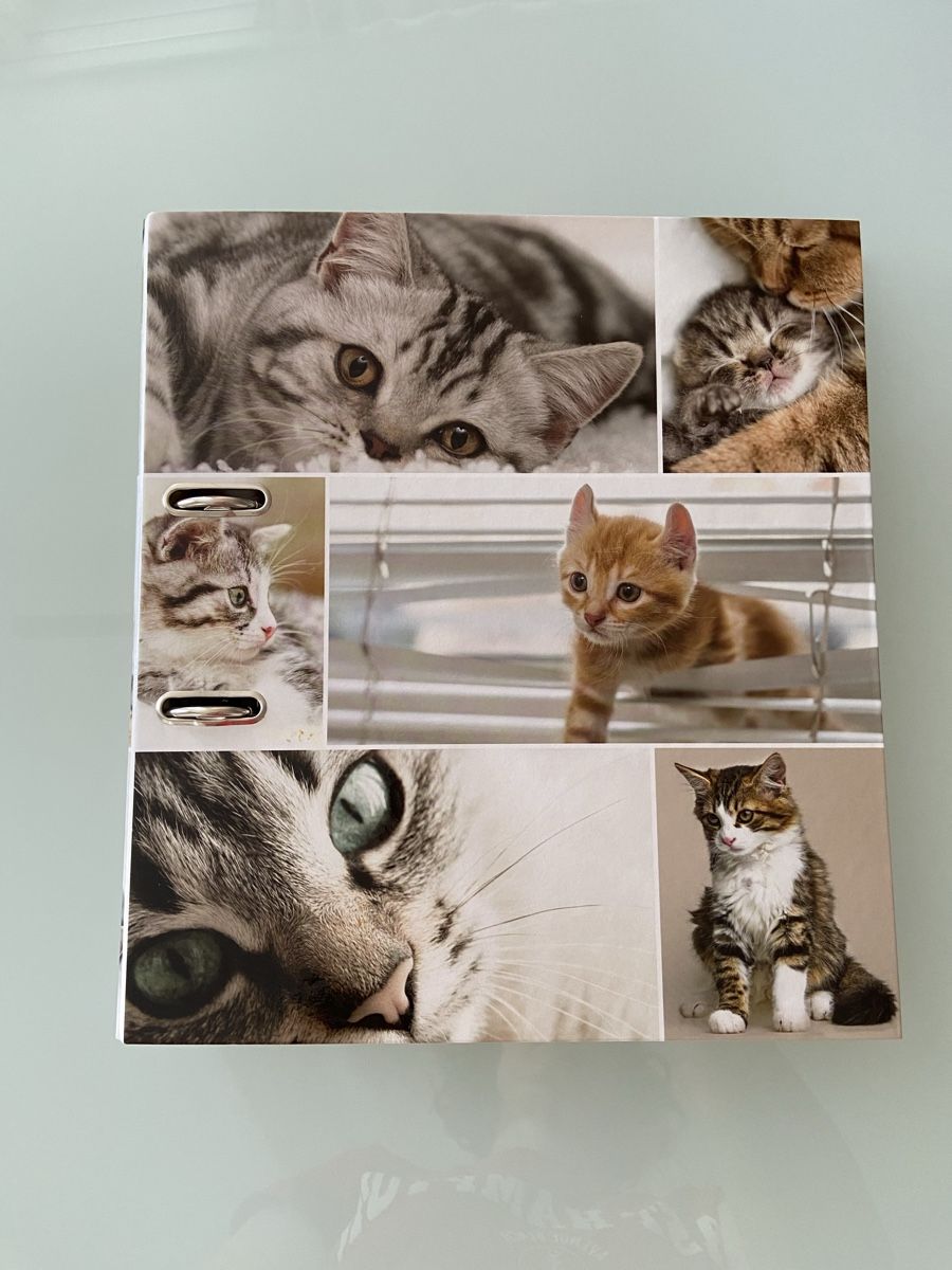 Raccoglitori: Süsser Katzen Ordner – Nuovo (secondo la descrizione) da Bülach venduto da kittygismo 2