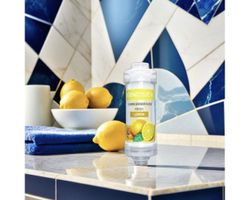 Cartouche douche anti-tartre Citron Vitamine C / Duschfilter