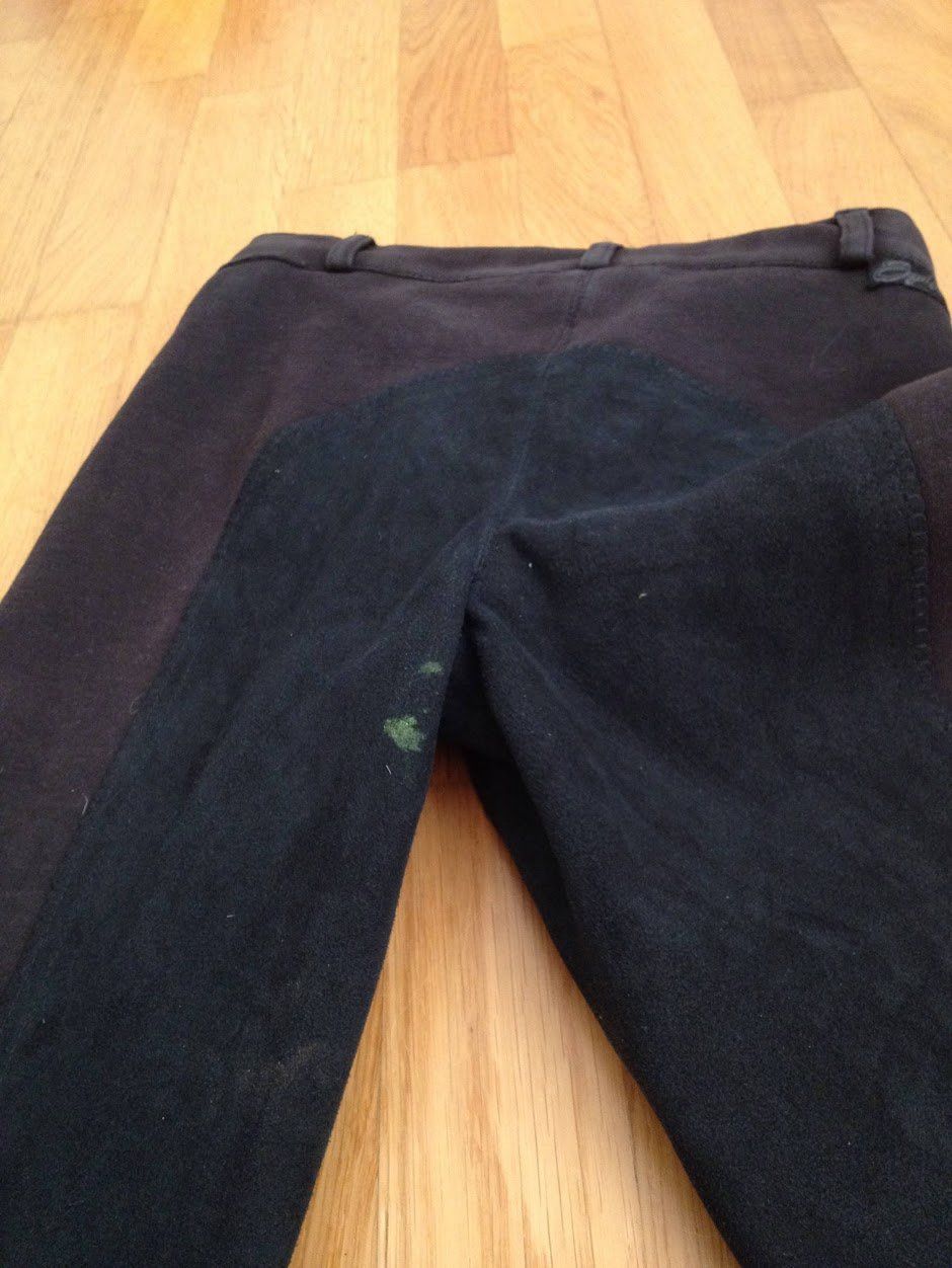 Hosen: Reit Hose – Gebraucht aus Dübendorf von Fip05 6