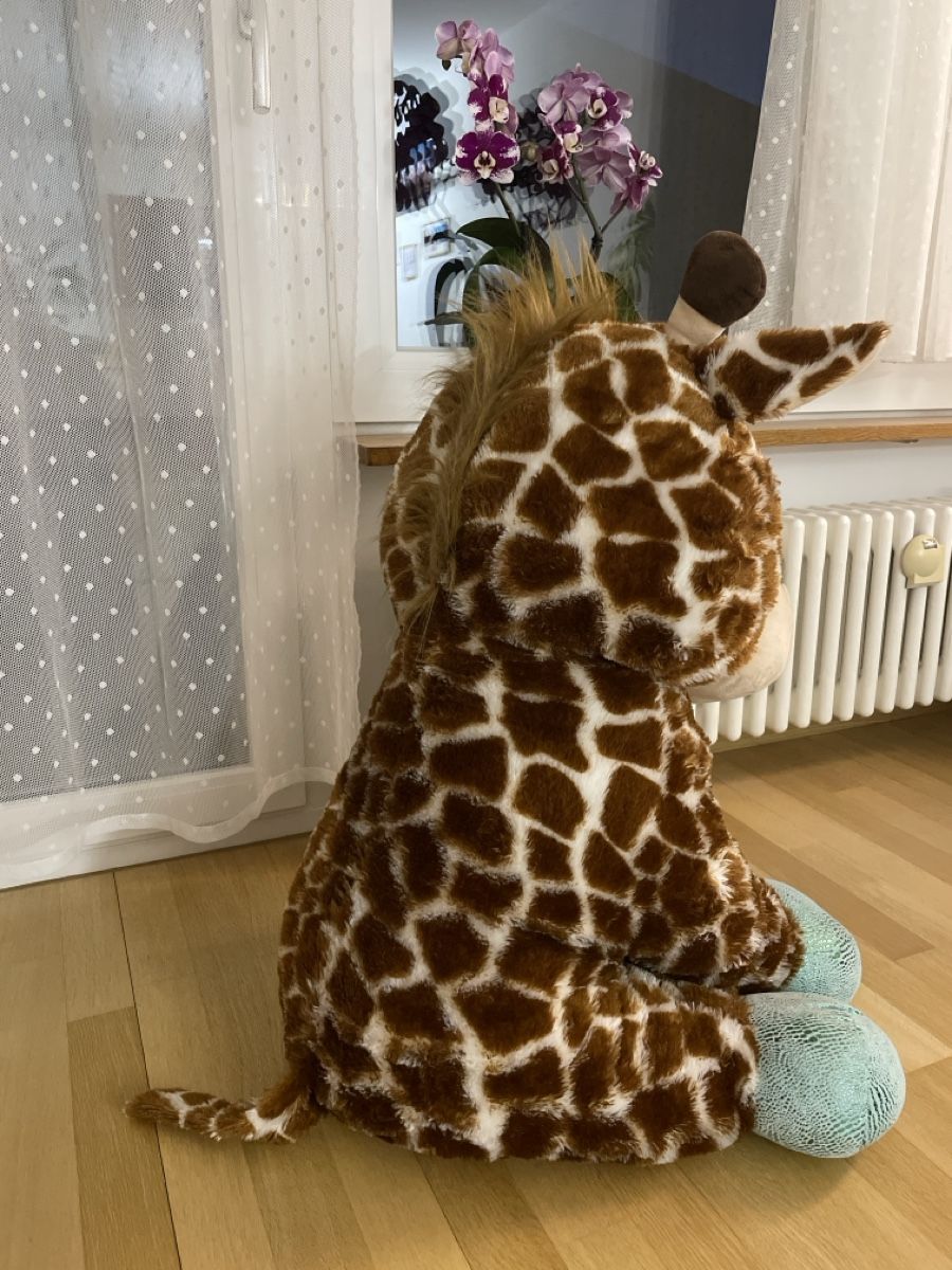 Giocattoli: Plüschtier gross Giraffe – Usato da Rüfenacht BE venduto da Edinas_shop 7