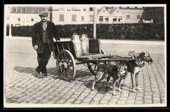 Cartoline postali: AK Ostende, Le Laitier, Hundegespann – Usato da Berlin venduto da bartko-reher
