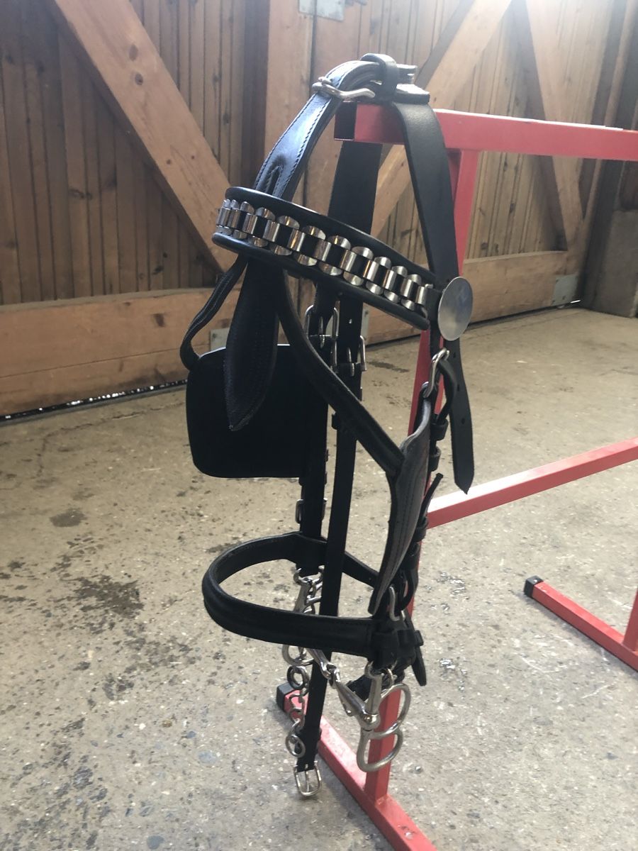 Kutschen: Char marathon et harnais pour poney – Gebraucht aus Etagnières von arnaudreichenbach 9
