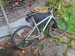 Gebrauchte Velo