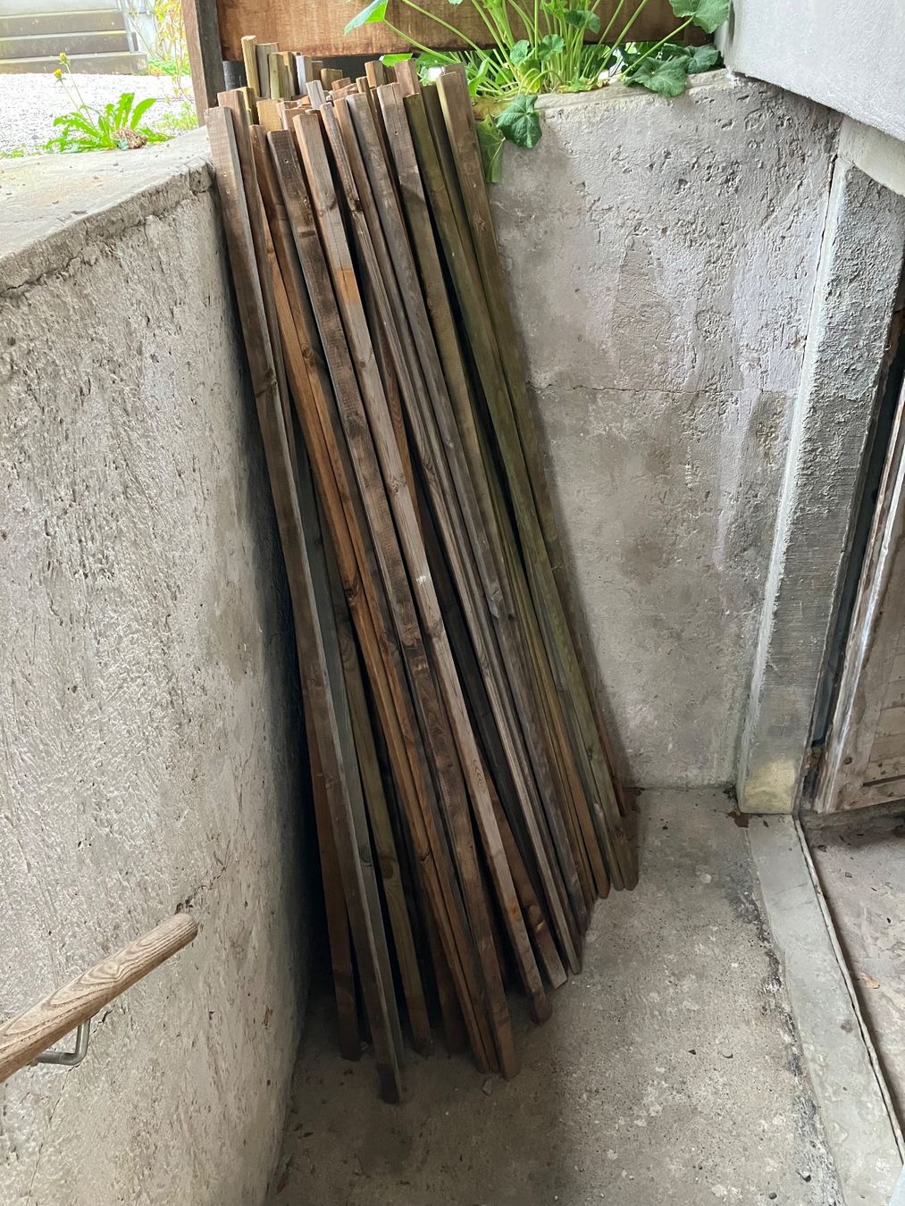 Articoli in legno: Holzlatten – Usato da Weinfelden venduto da kas_xk5y