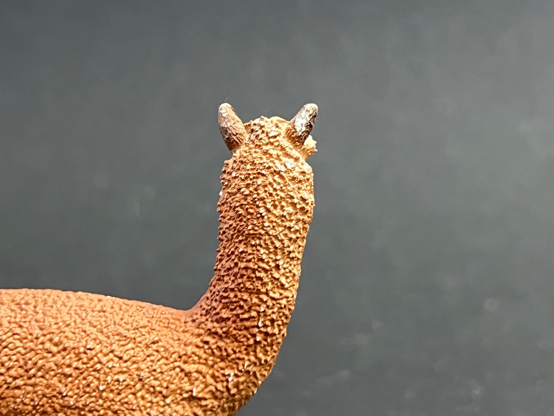 Schleich Statuette: Schleich 13703 Alpaka Hengst – Usato da Ennetbaden venduto da mapa05 5