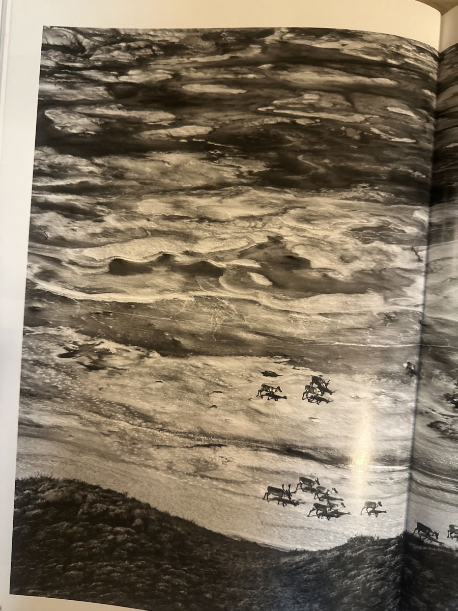Libri: Sebastião Salgado Genesis Bildband Taschen – Usato da Frauenfeld venduto da aluma14 7