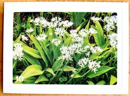 Migros Nature Detectives - Bild Nr. 10