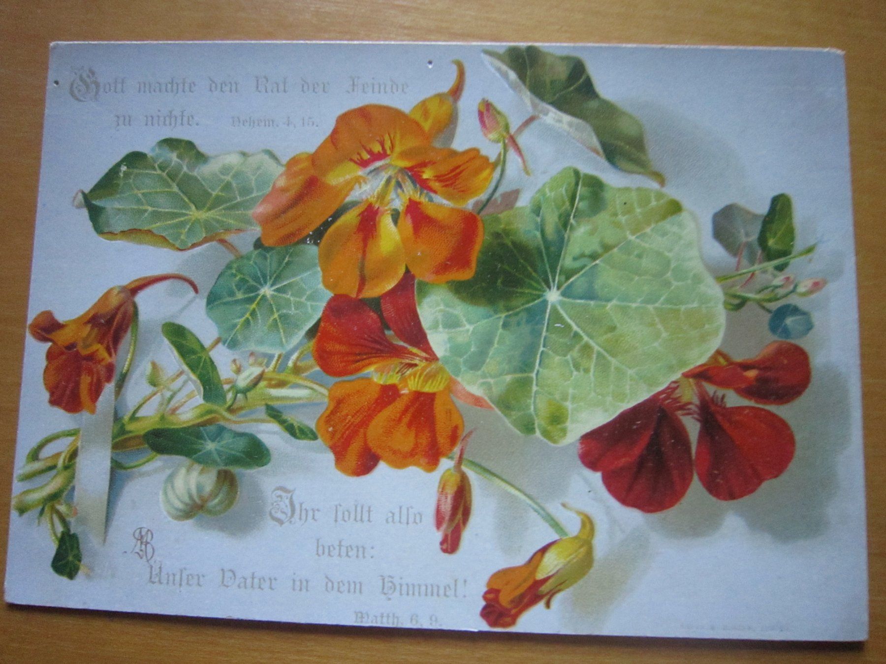 Ansichtskarten: No2 Postkarten Blumen – Gebraucht aus Gordola von Polentaefung 3
